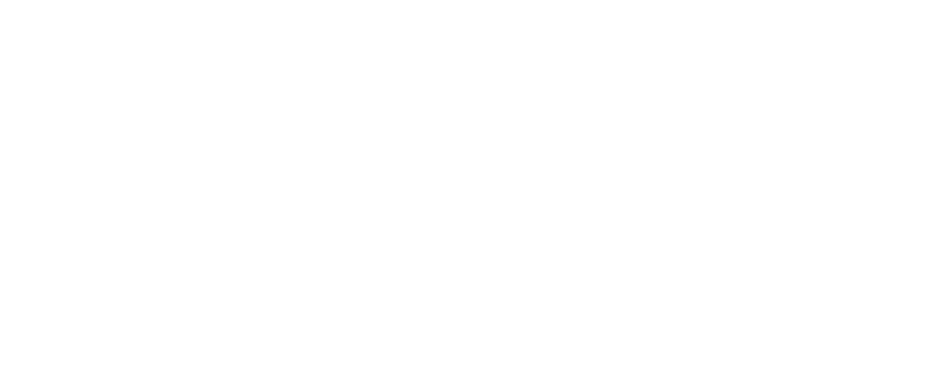 Assay Studios